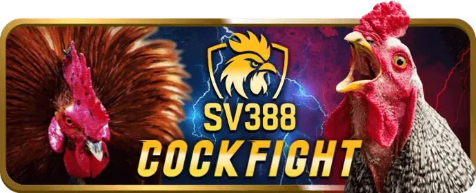 Hoàn trả hàng ngày Vibet Win